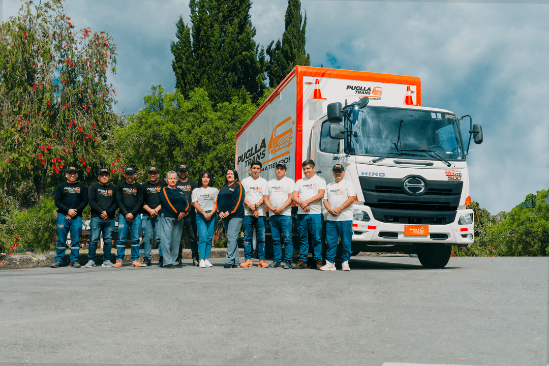 Profesional de logística